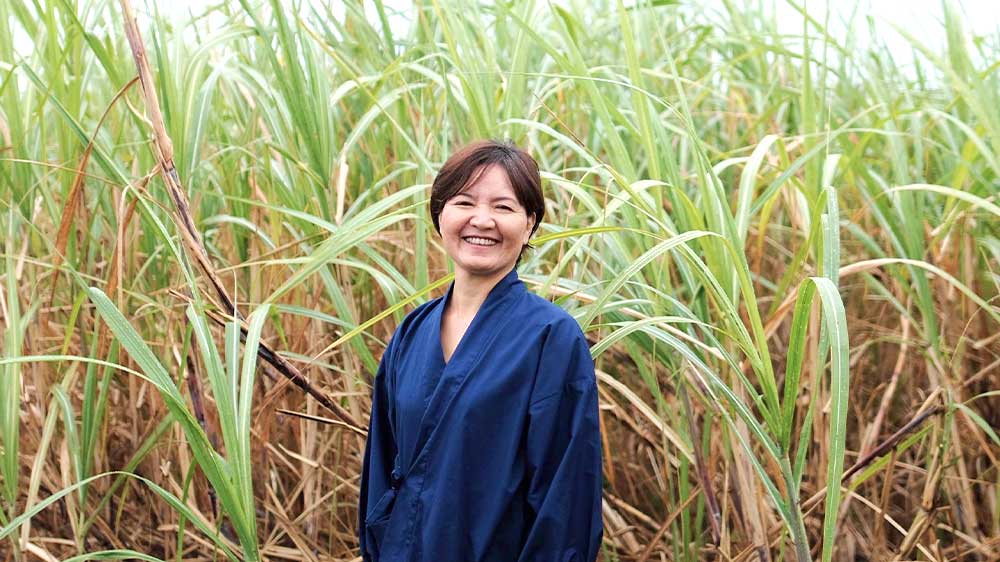 matsunaga6.jpg