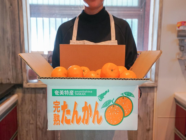 あんぱん！ 贈答用たんかん10キロ♪ 楽天市場】たんかん 10キロの通販