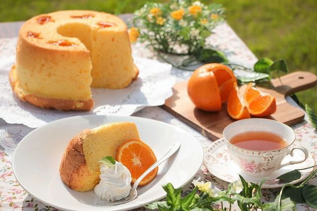 三環舎 奄美のシフォンケーキ たんかん | 奄美産直いっちば