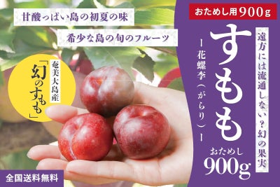 送料無料】奄美産すもも 約900g（スモモ/奄美プラム/花螺李/がらり 