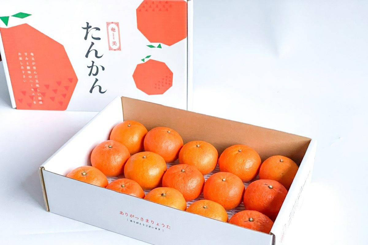 送料無料】奄美産たんかん 家庭用約5kg ≪2026年2－3月発送≫ | 奄美