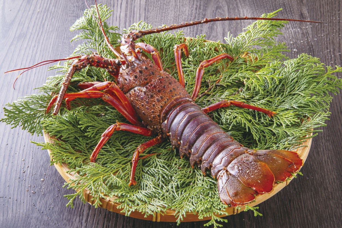 送料無料】漁協直送！伊勢海老入り海力セット | 奄美産直いっちば