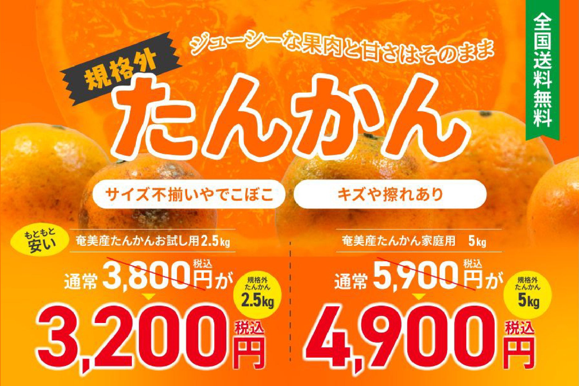 送料無料】規格外品！奄美産たんかん | 奄美産直いっちば